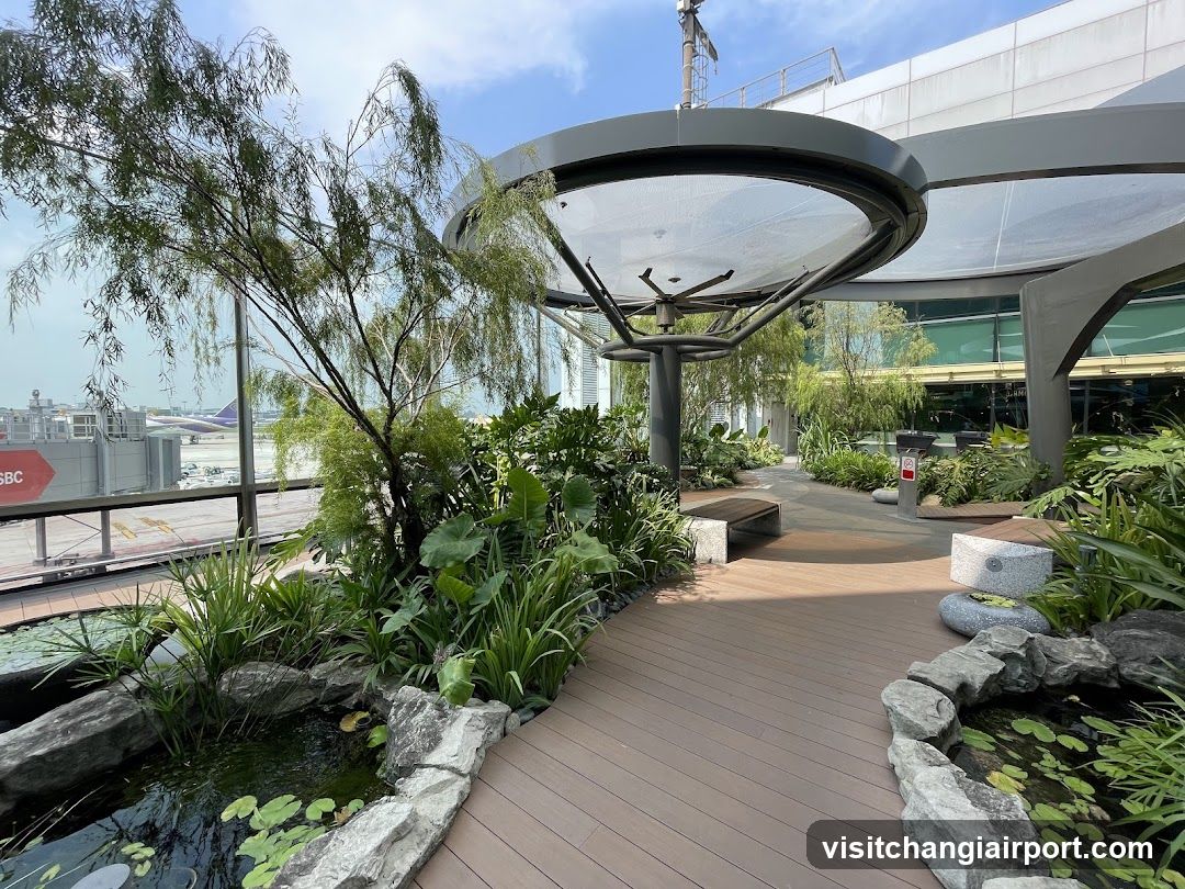 Airport Garden View