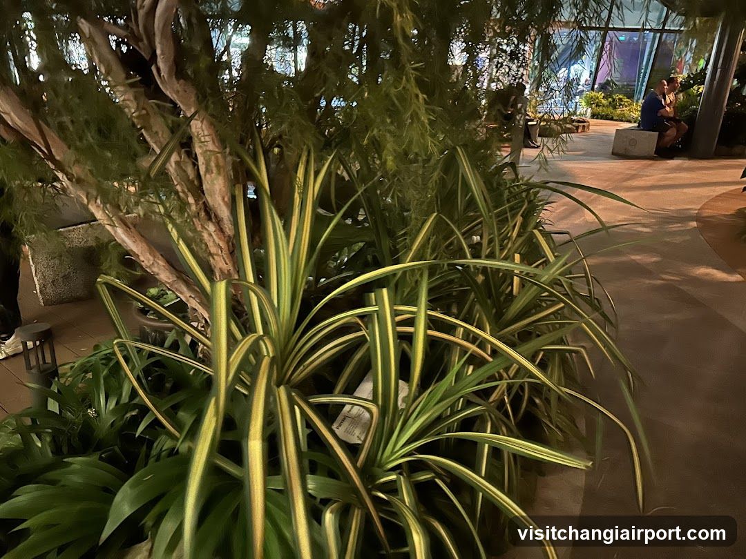 Indoor Plant Display with Seating Area
