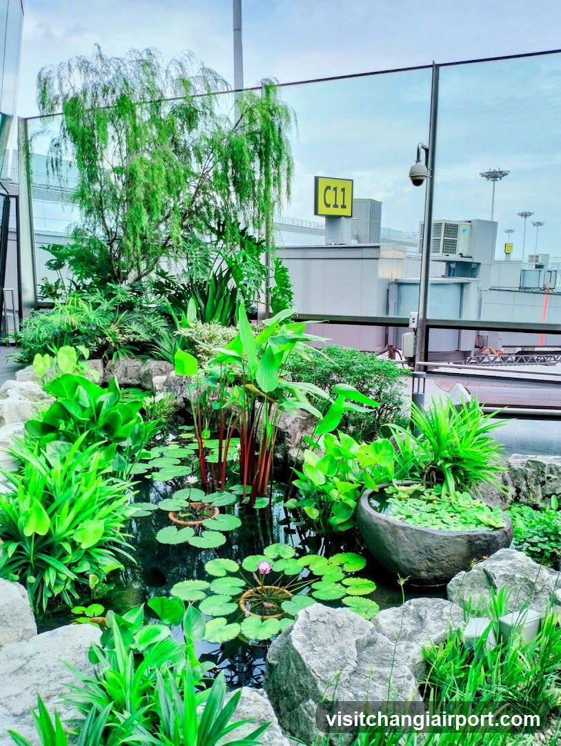 Airport Garden Pond Scene