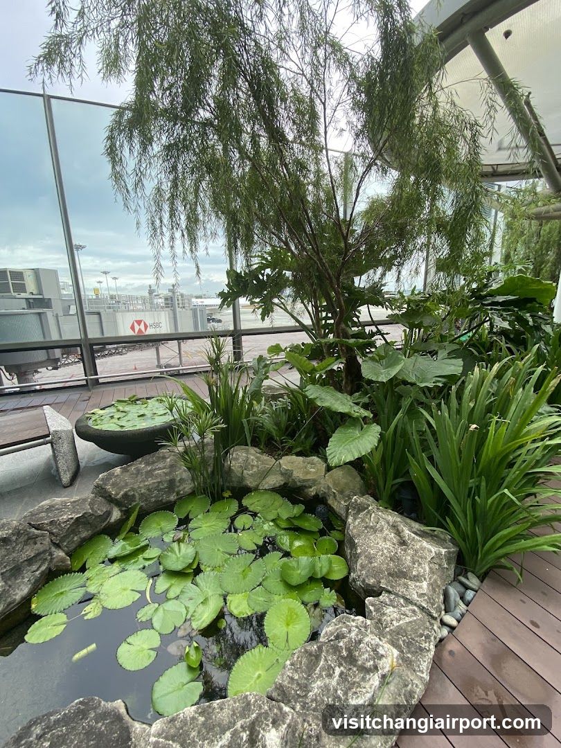 Indoor Garden with Pond and Plants