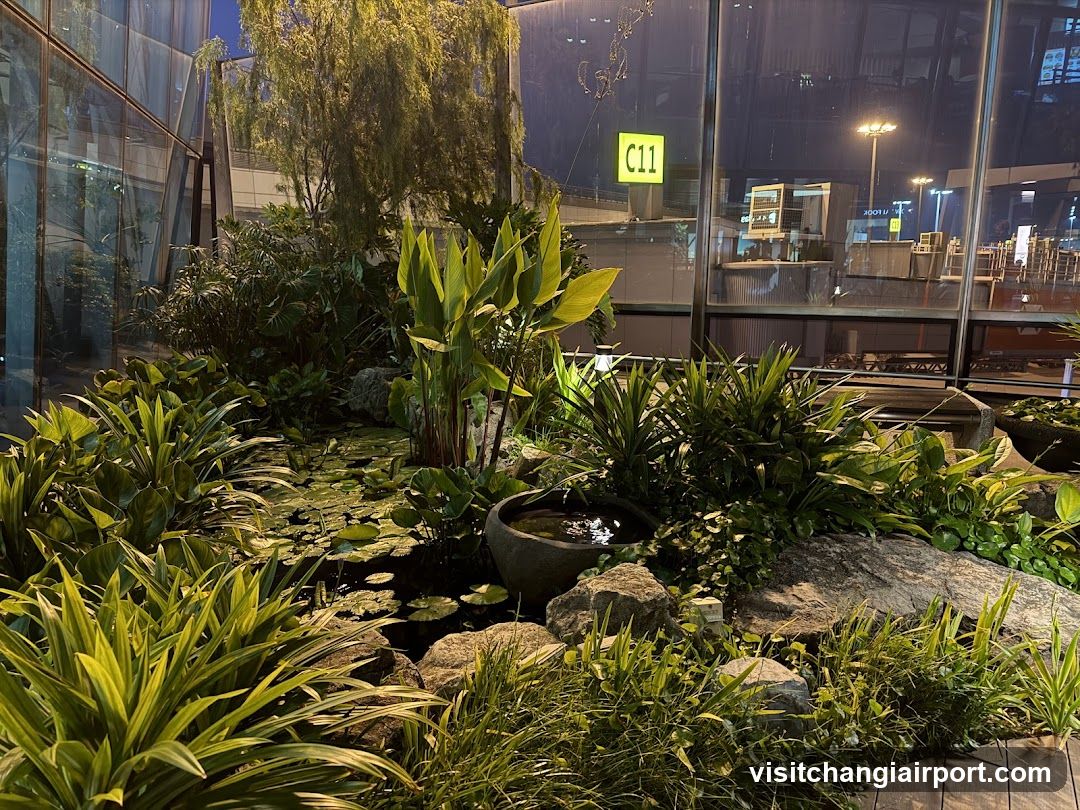 Indoor Garden Scene
