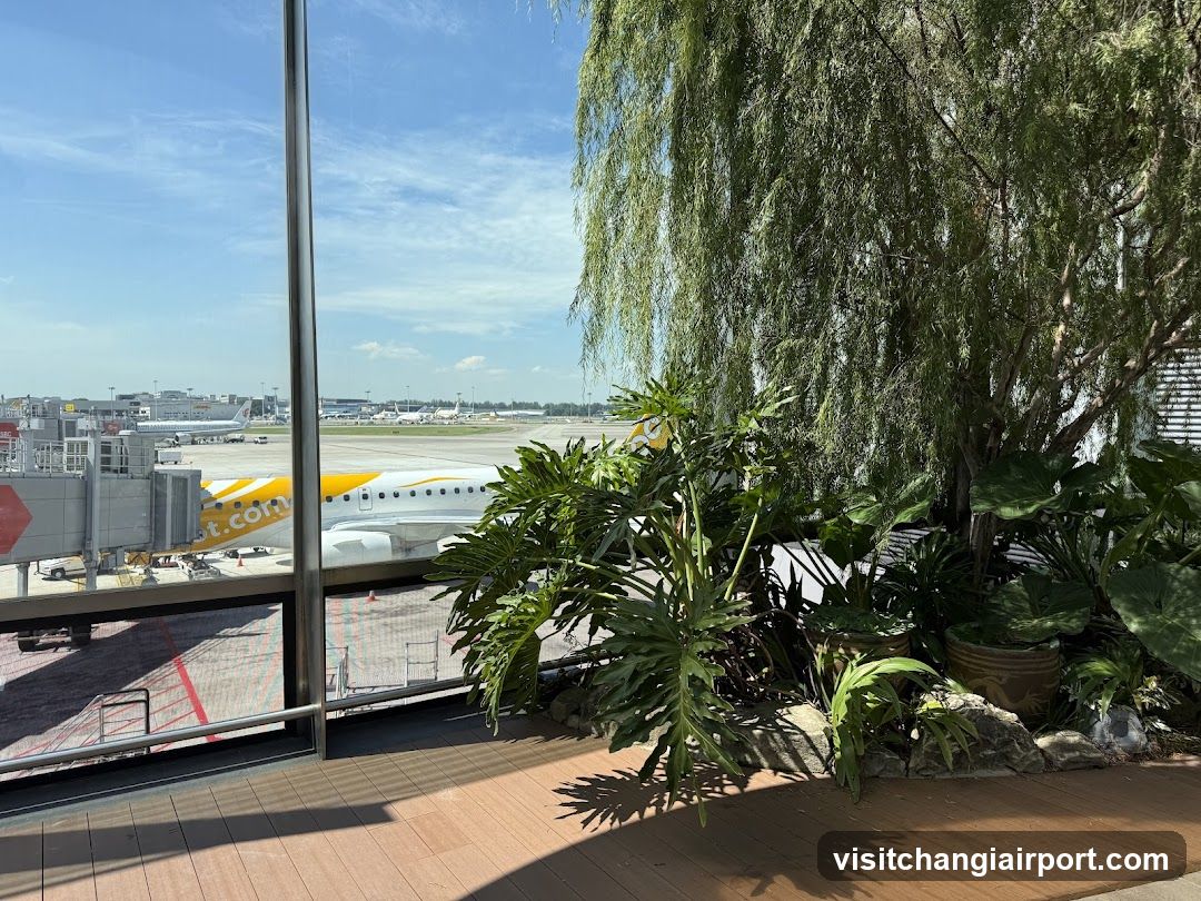 Airport Terminal View with Plants