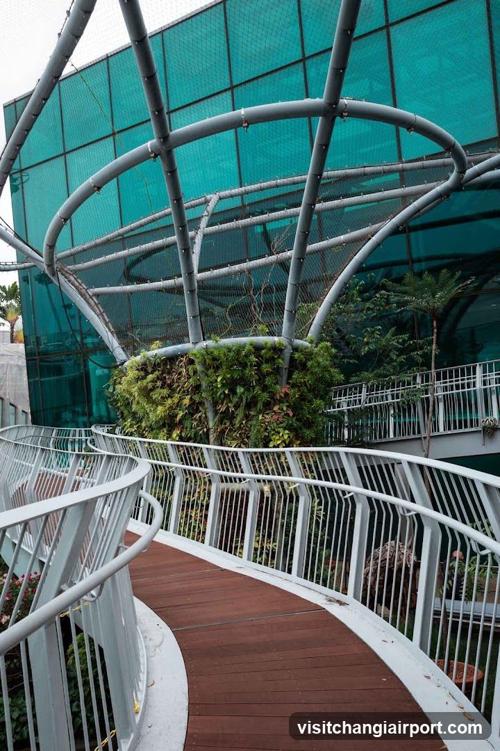 Curved walkway in botanical garden