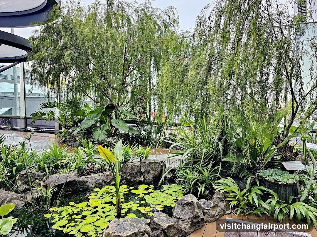 Indoor Garden Scene with Pond and Weeping Trees