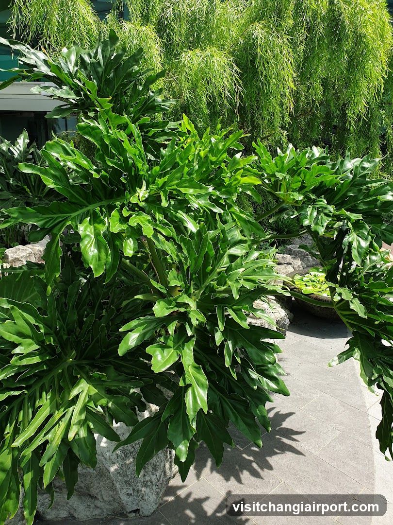 Lush Green Plants in Garden Setting