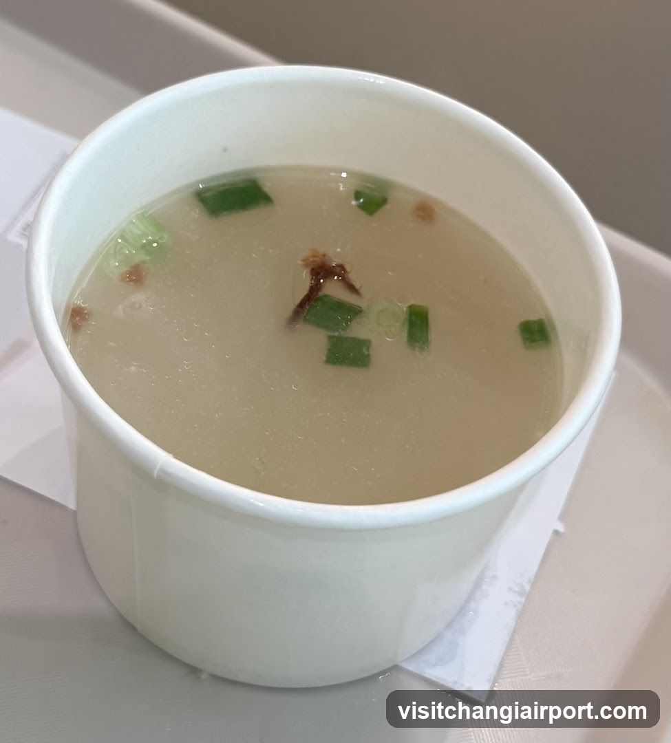 Bowl of Soup with Green Onions