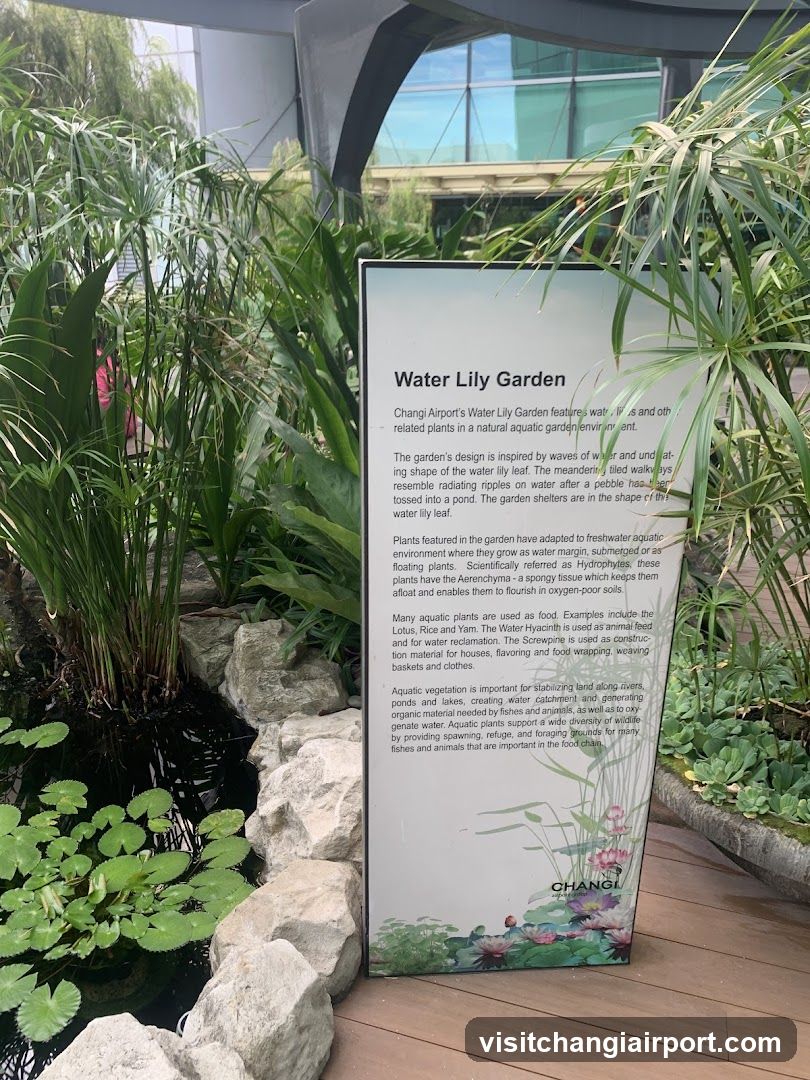 Water Lily Garden Signage