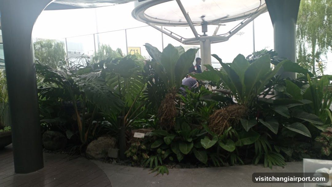 Indoor Garden Scene