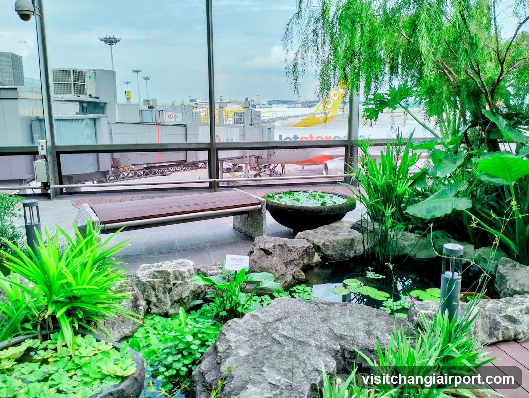 Airport Garden View