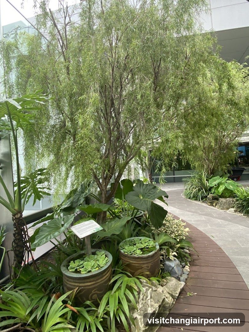 Indoor Garden Scene