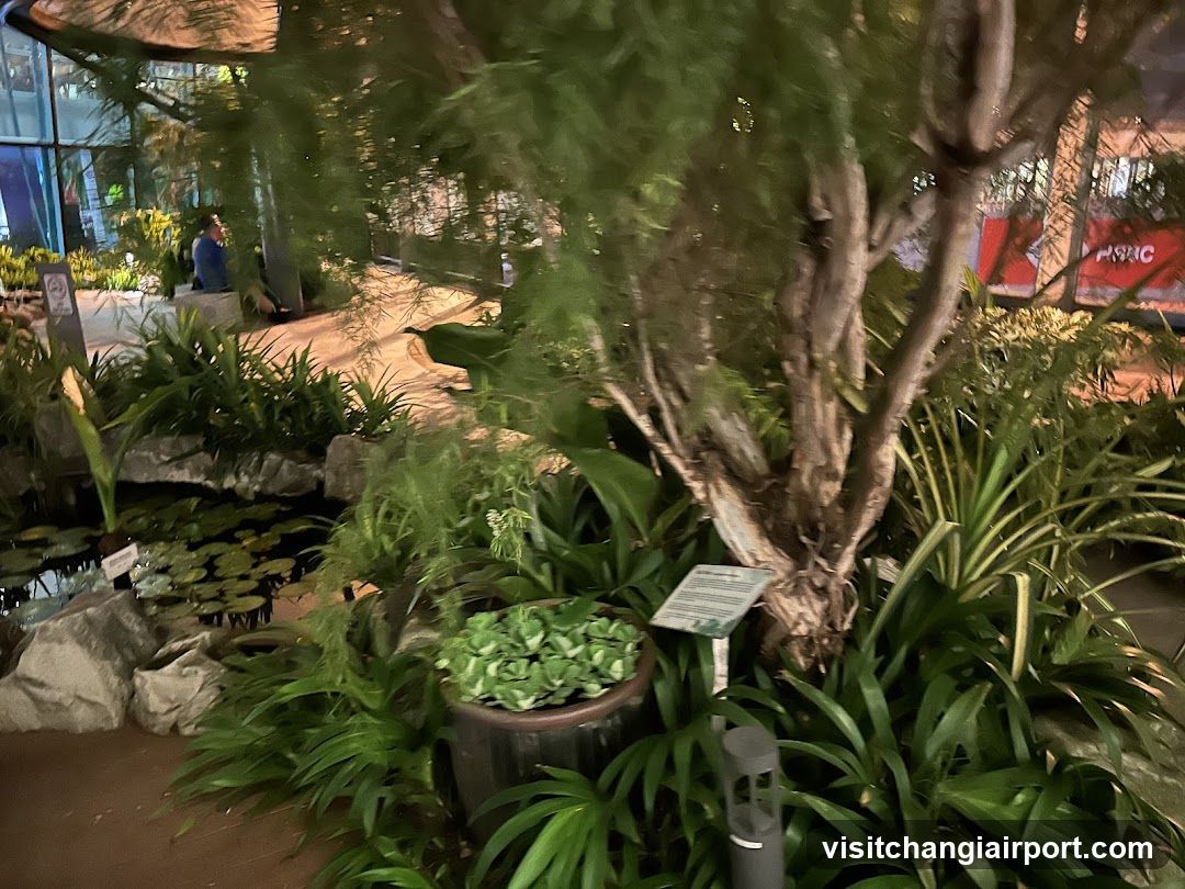 Indoor Garden Scene
