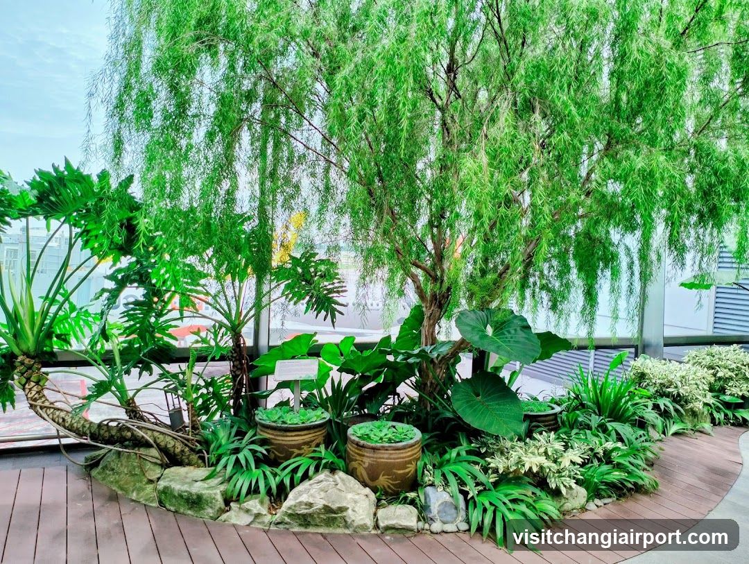 Indoor Garden Display