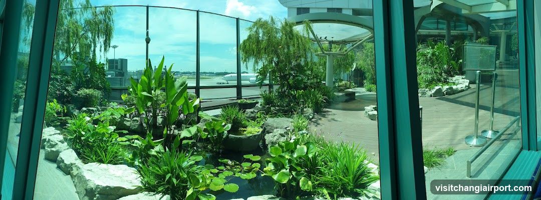 Airport Garden View