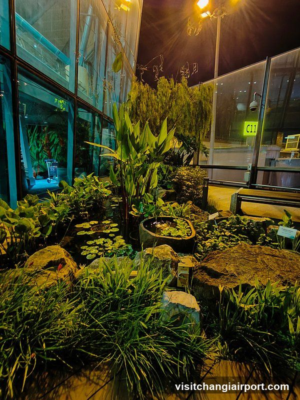 Night Garden Scene