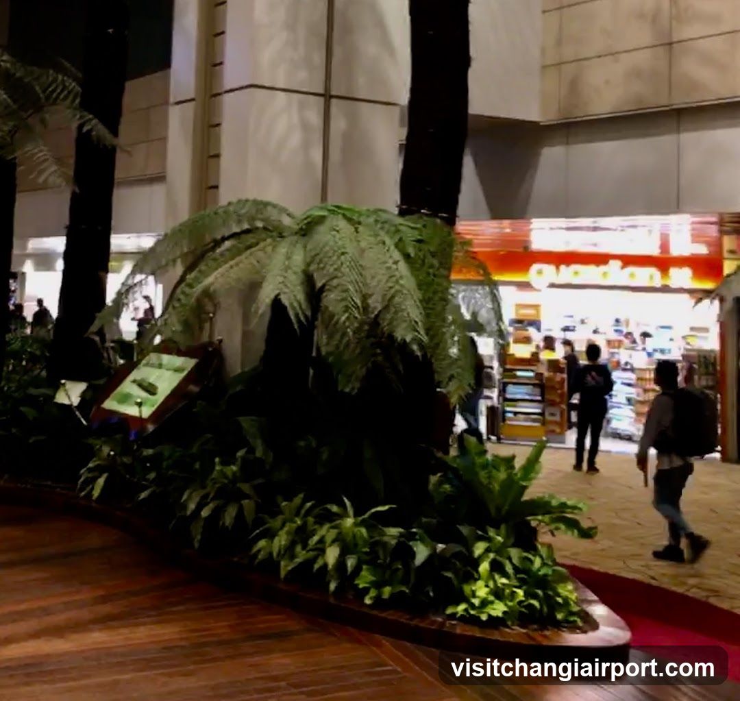 Indoor Plant Display with Storefront Background