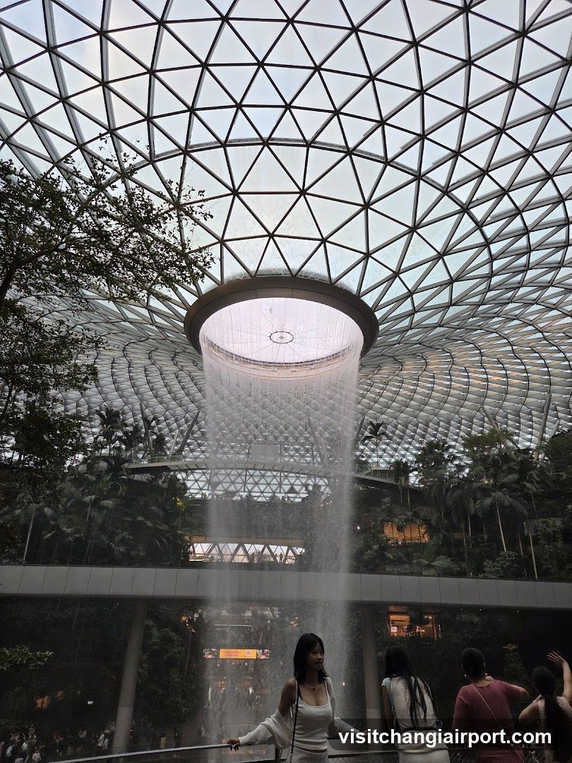 Rainforest Chamber at Jewel Changi Airport