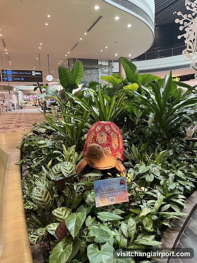 Airport Garden Display with Tortoise Statue