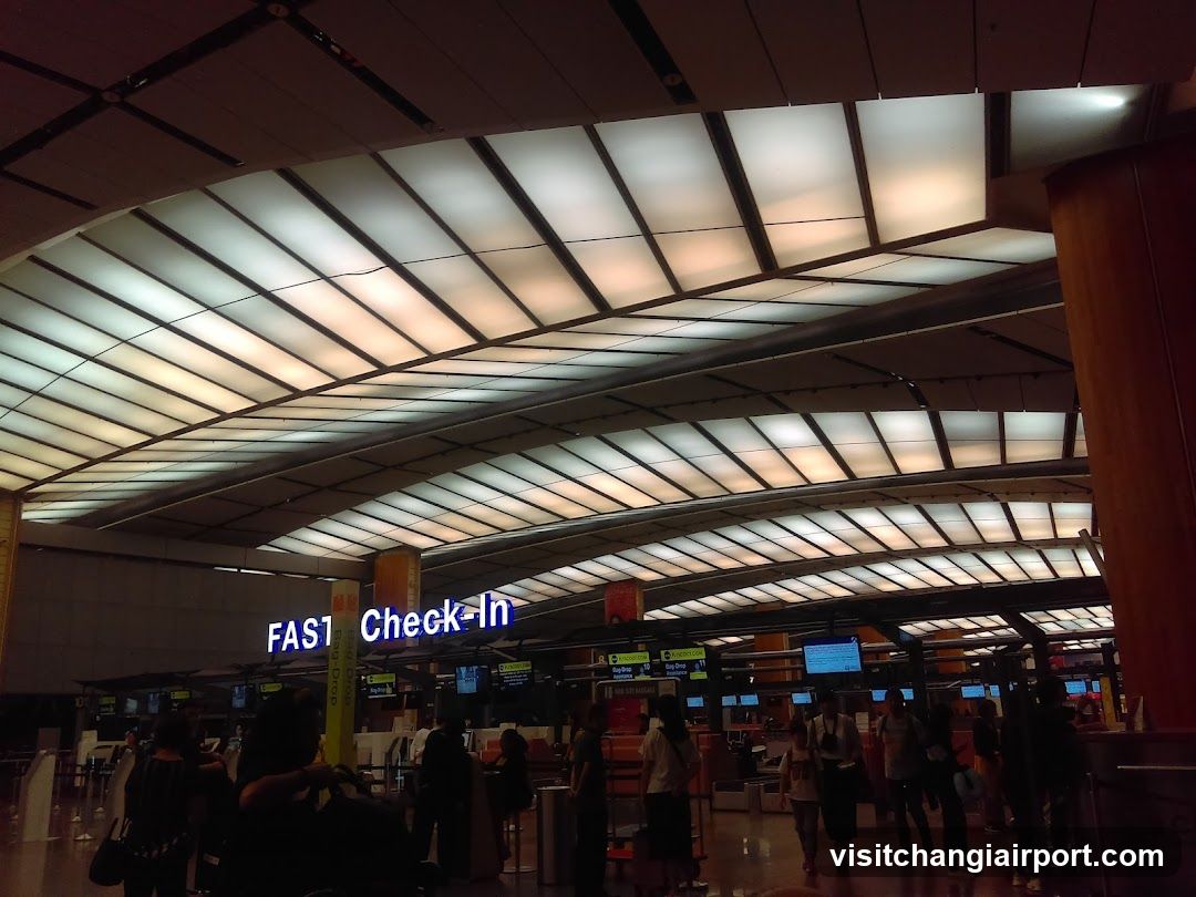 Airport Check-In Area