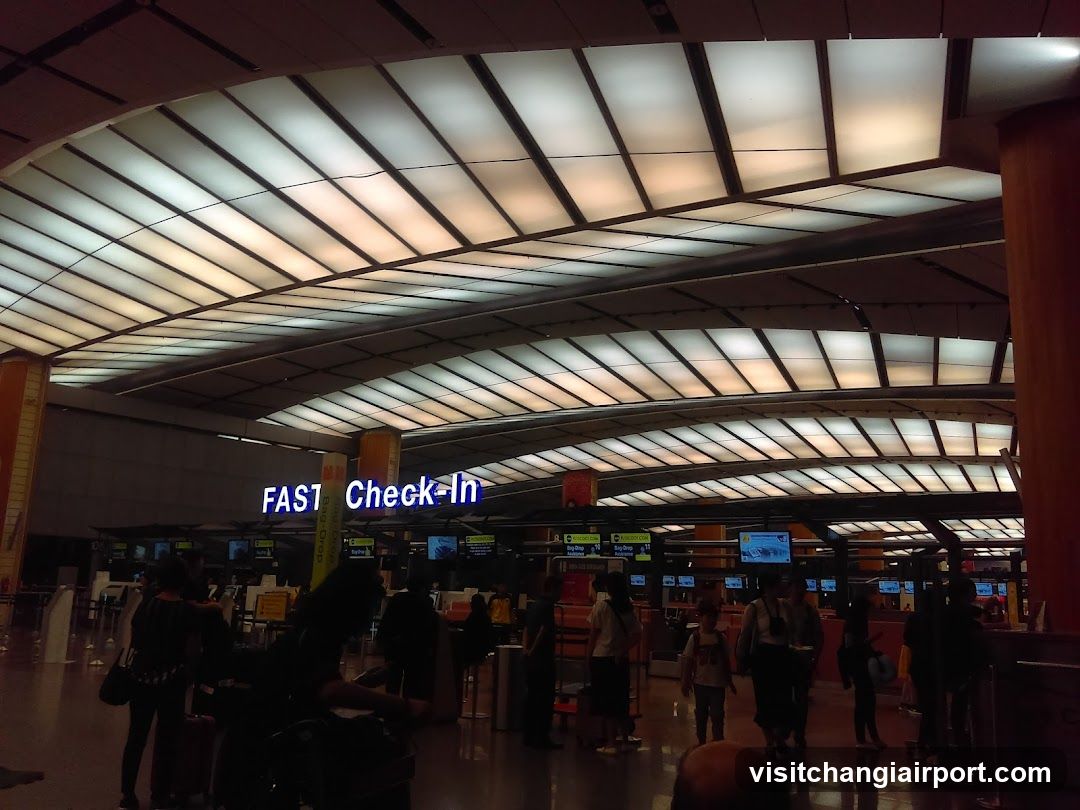 Airport Check-In Area