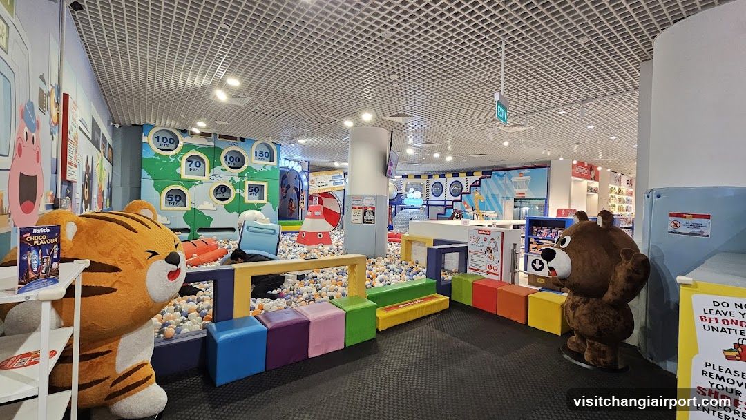 Indoor Play Area with Ball Pit and Merchandise