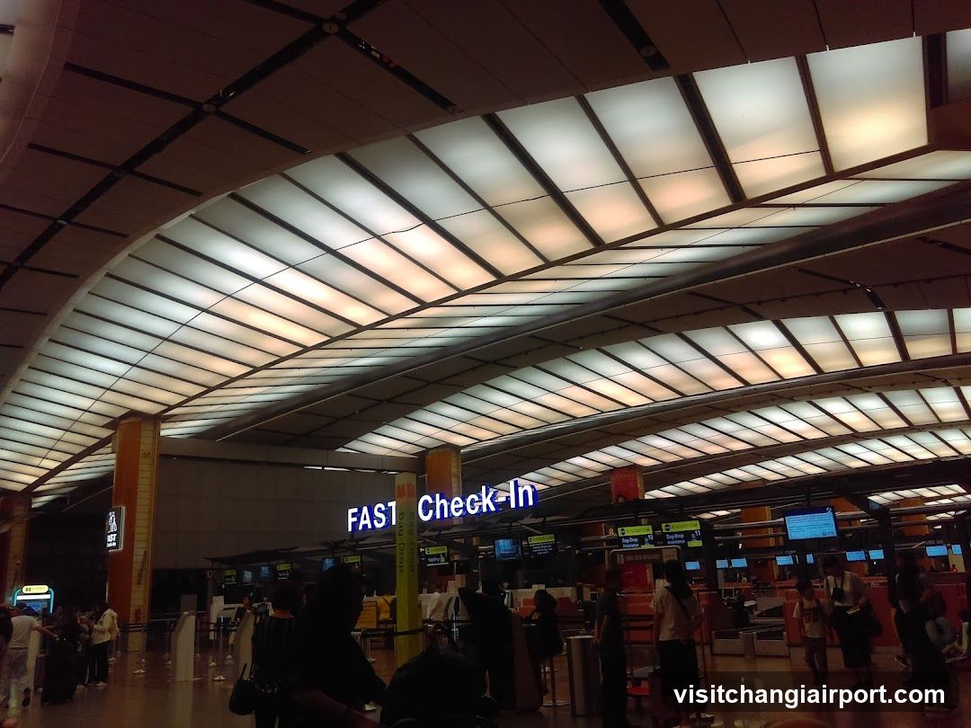Airport Check-In Hall