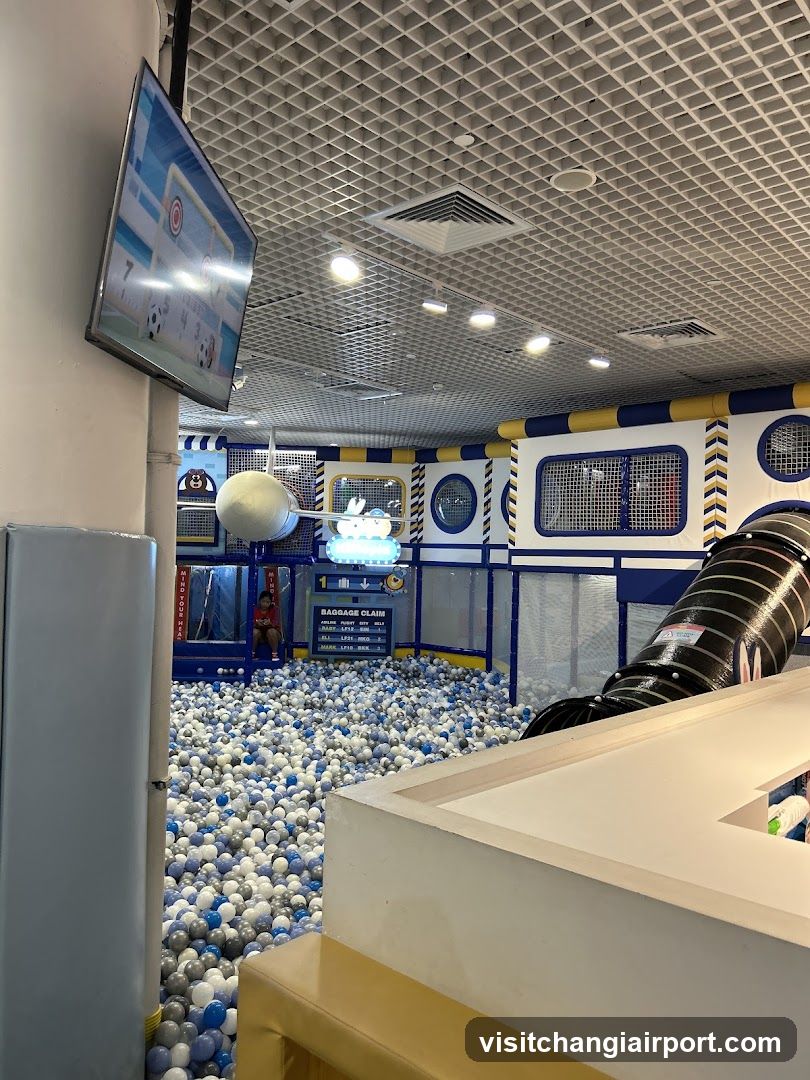 Indoor Ball Pit Play Area