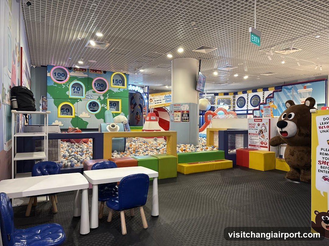 Indoor Play Area with Ball Pit and Educational Wall