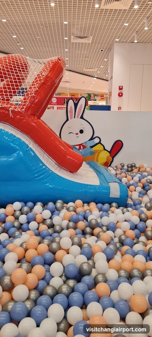 Indoor Play Area with Ball Pit and Inflatable Slide