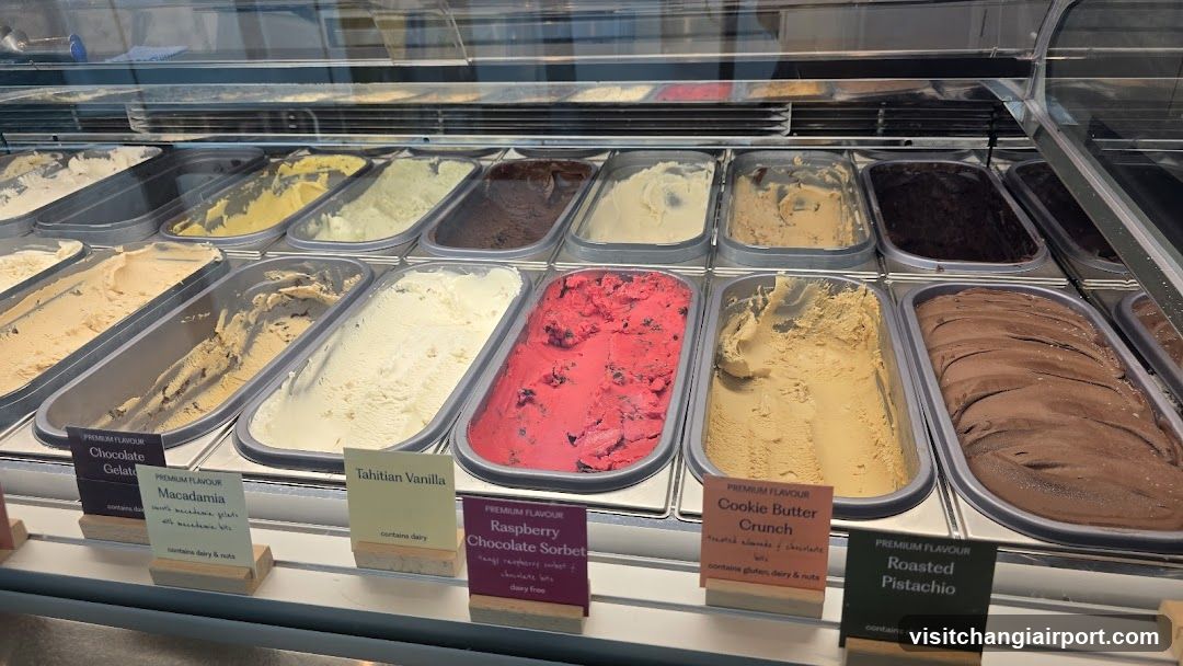 Gelato Display Case