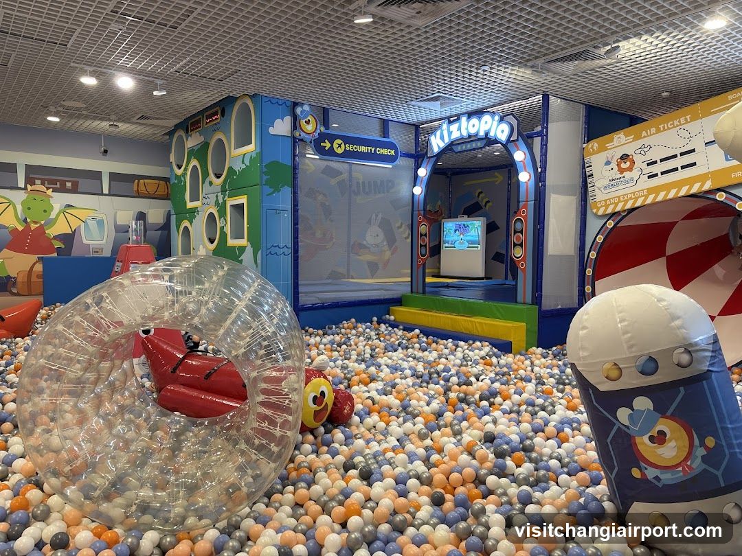 Indoor Play Area with Ball Pit and Interactive Zone