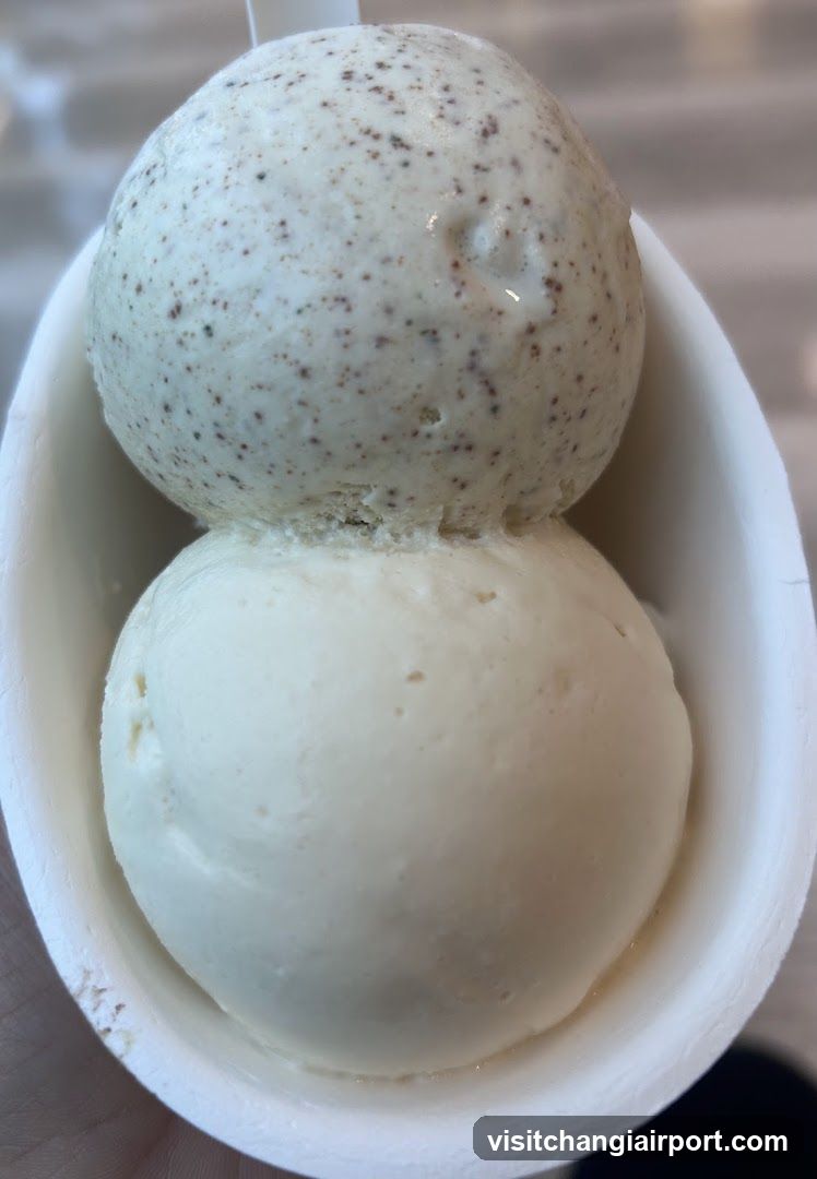 Ice Cream Scoops in Cup