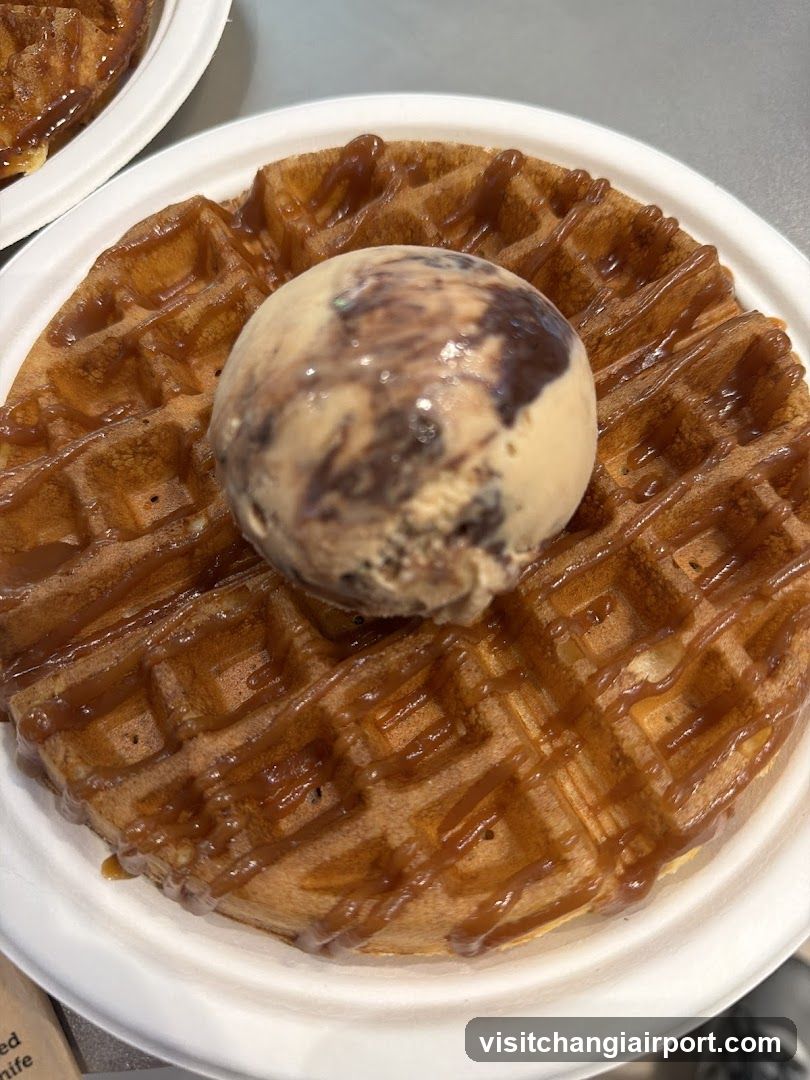 Waffle with Ice Cream and Caramel Sauce