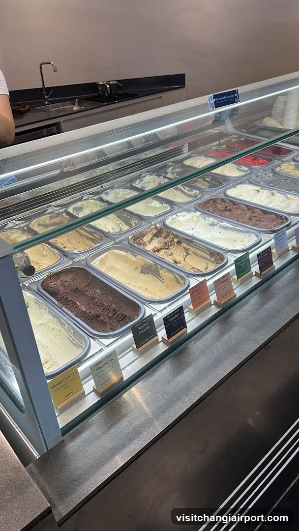Gelato Display Case
