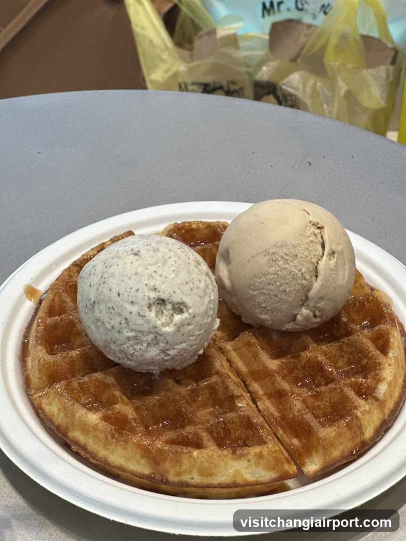 Waffle with Ice Cream