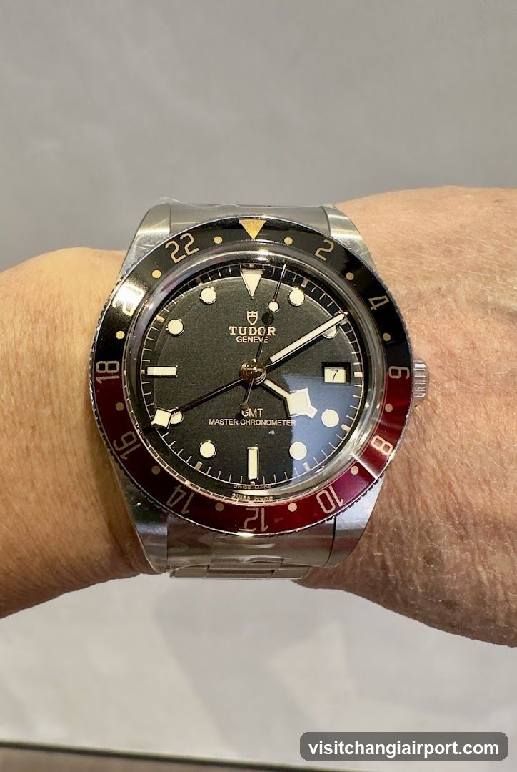 Tudor Black Bay Diver Watch on Wrist