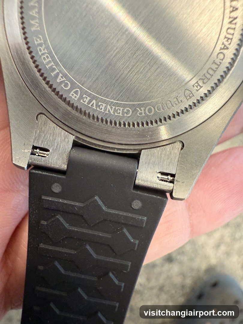 Watch Back View