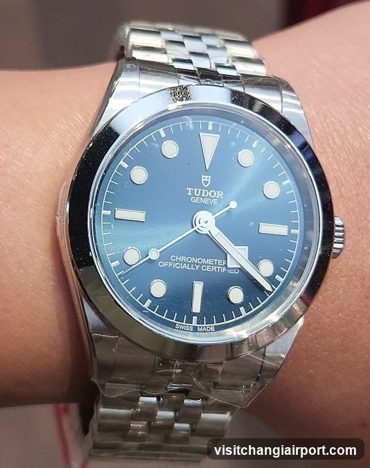 Tudor Watch on Wrist