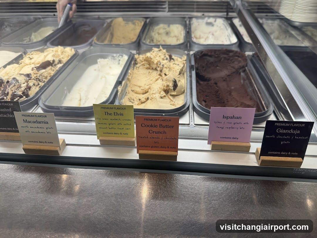 Gelato Display Case