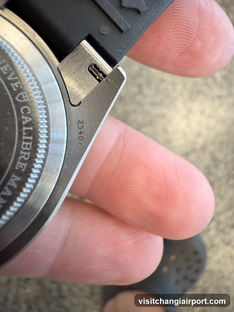 Watch Back Case Close-Up
