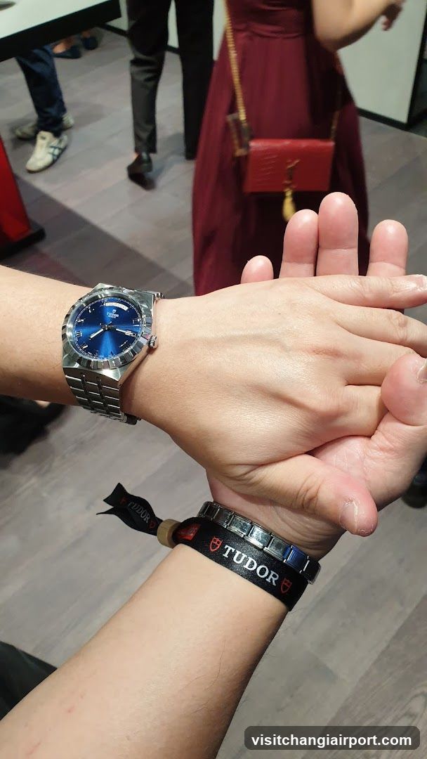 Tudor Watch Display