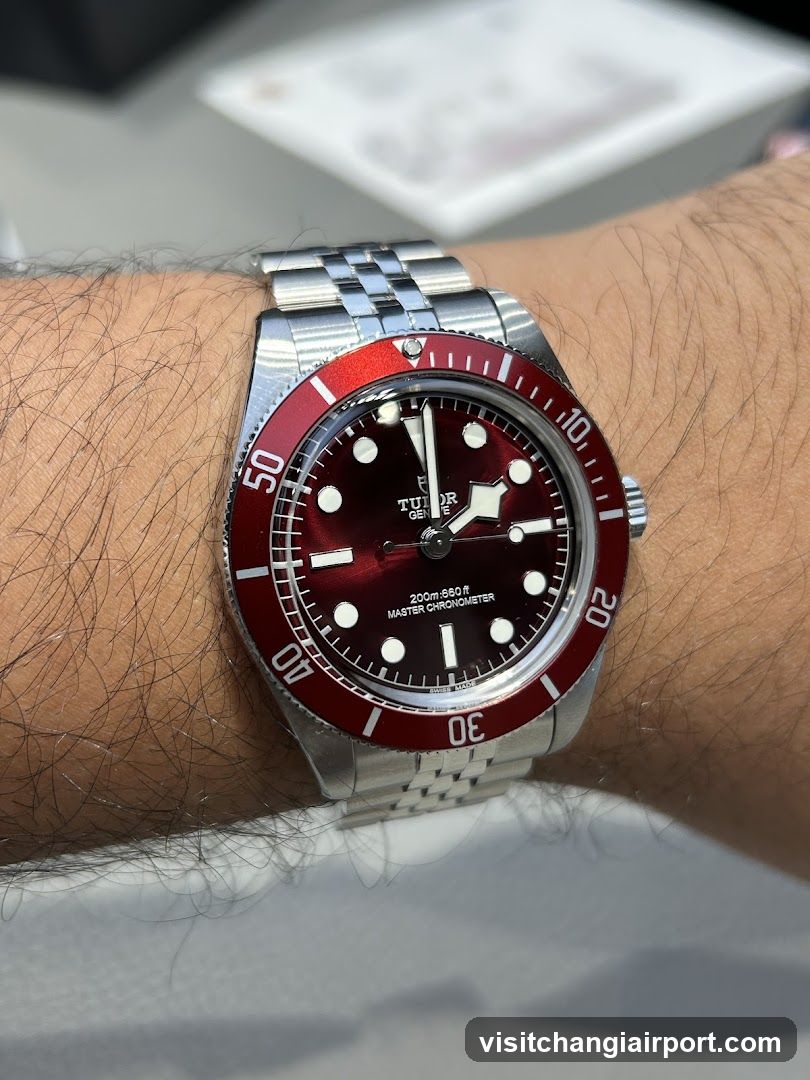 Tudor Black Bay Red Dial Watch on Wrist