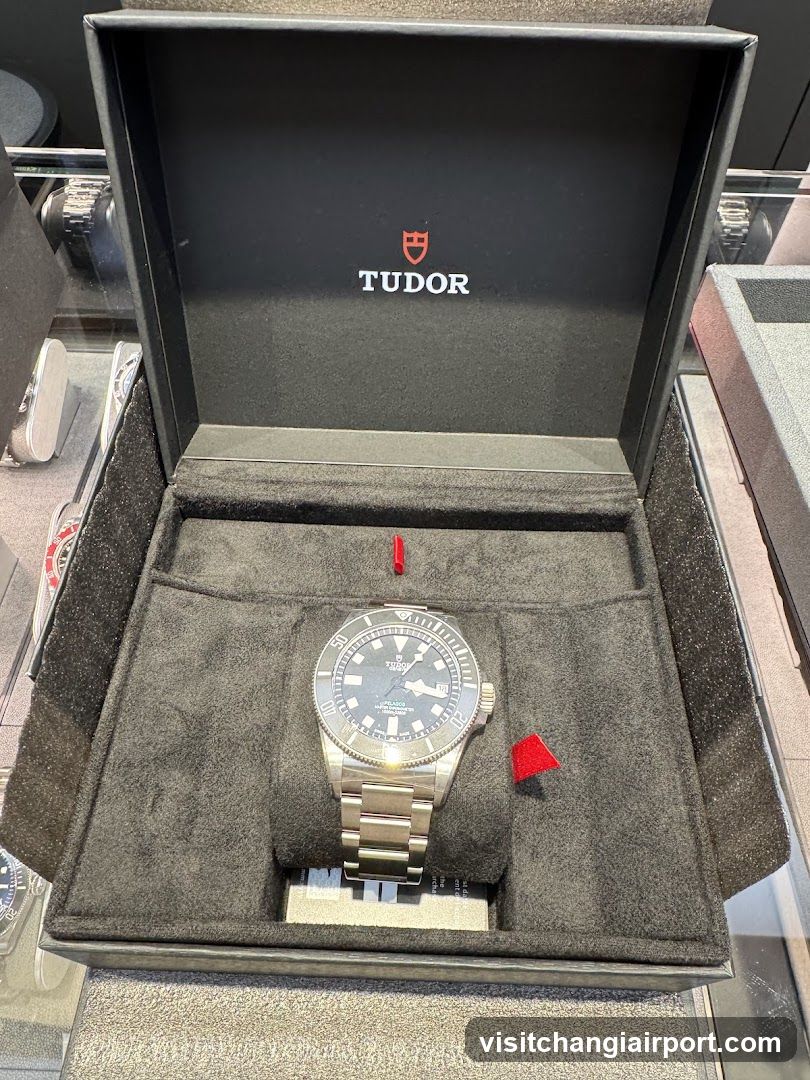Tudor Watch Display