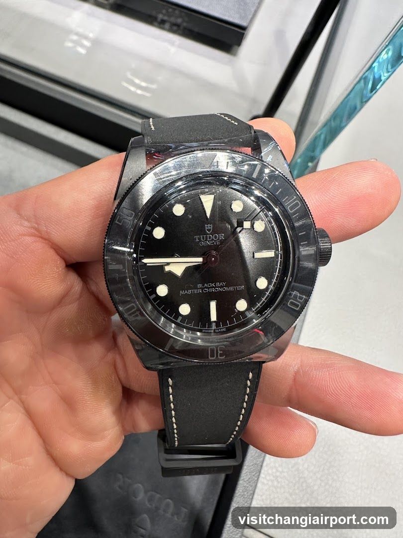 Tudor Black Bay Master Chronometer Watch