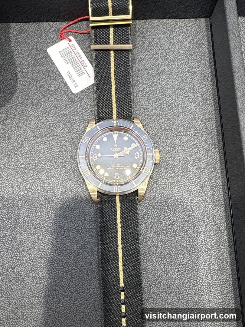 Tudor Black Bay watch with NATO strap