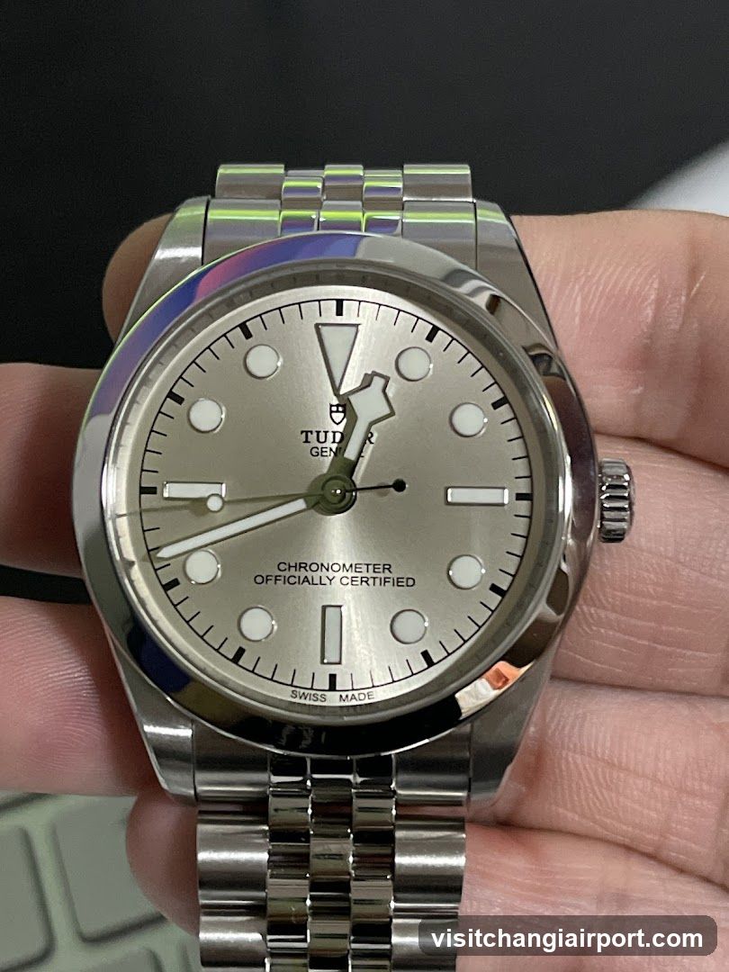 Tudor Black Bay Silver Dial Watch