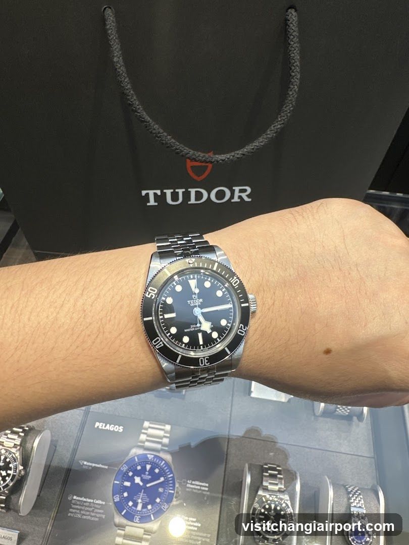 Tudor Watch Display