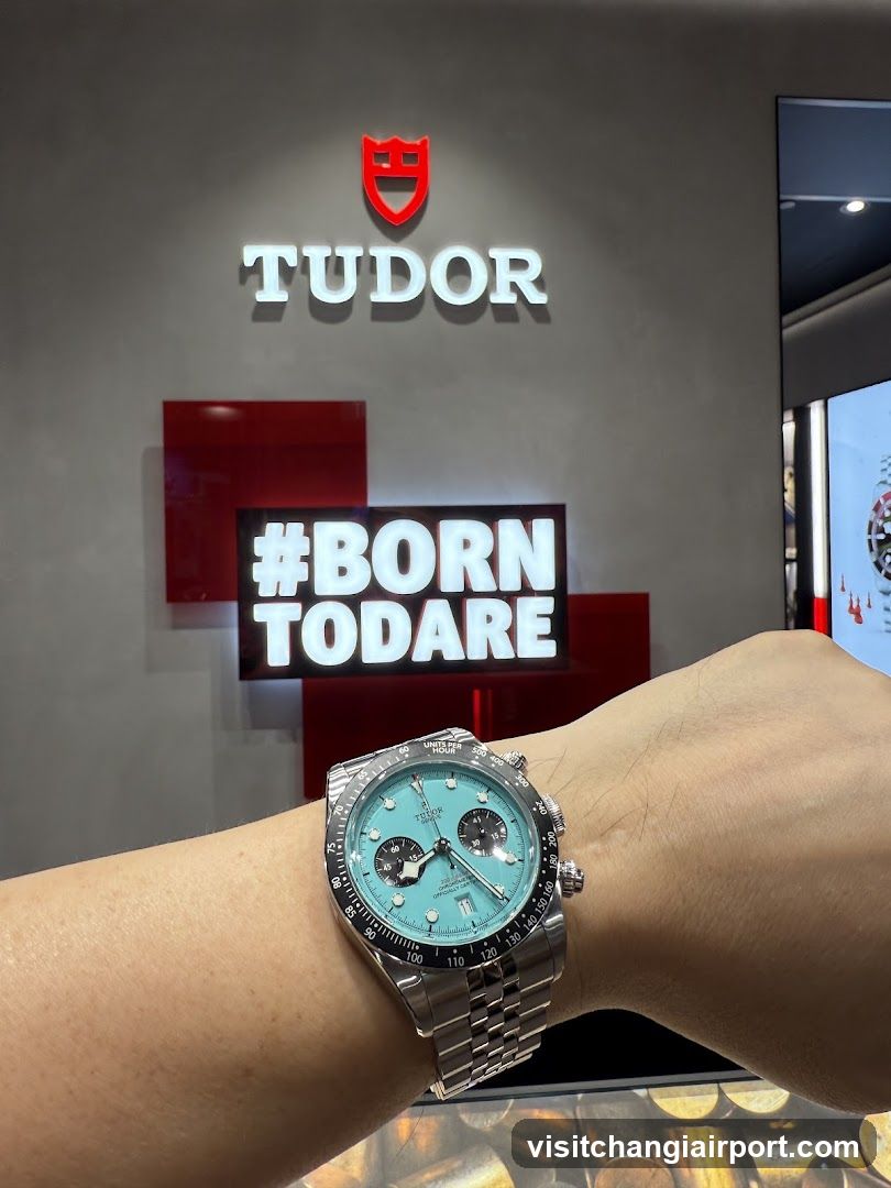 Tudor Watch Display