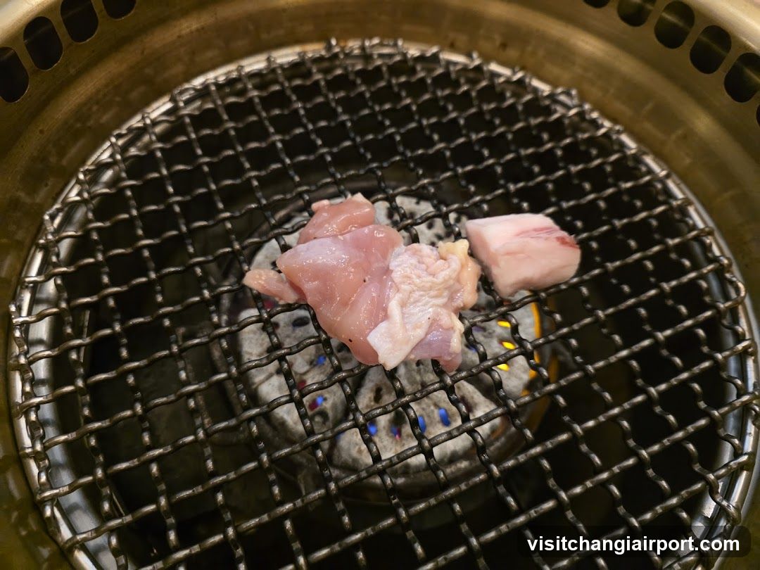 Grilled Meat on Mesh Grill