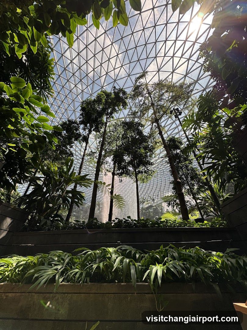 Dome Garden Interior