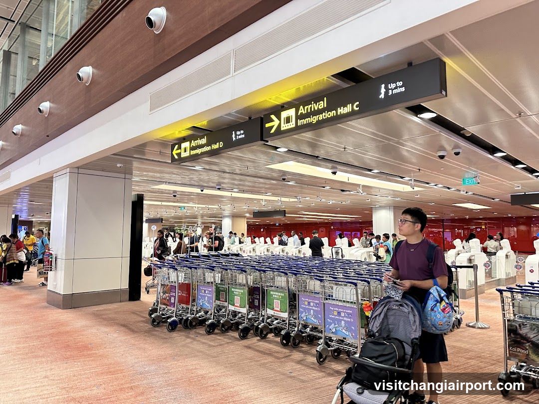 Airport Arrival Hall C